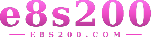 e8s200 logo